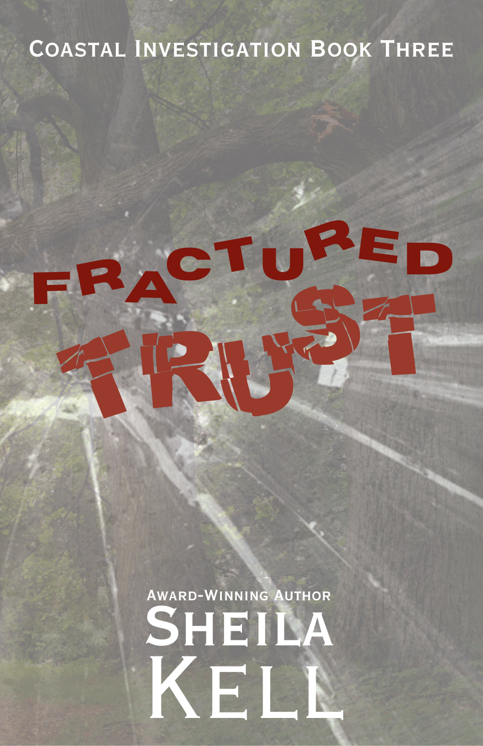 Fractured Trust (CI Series)
