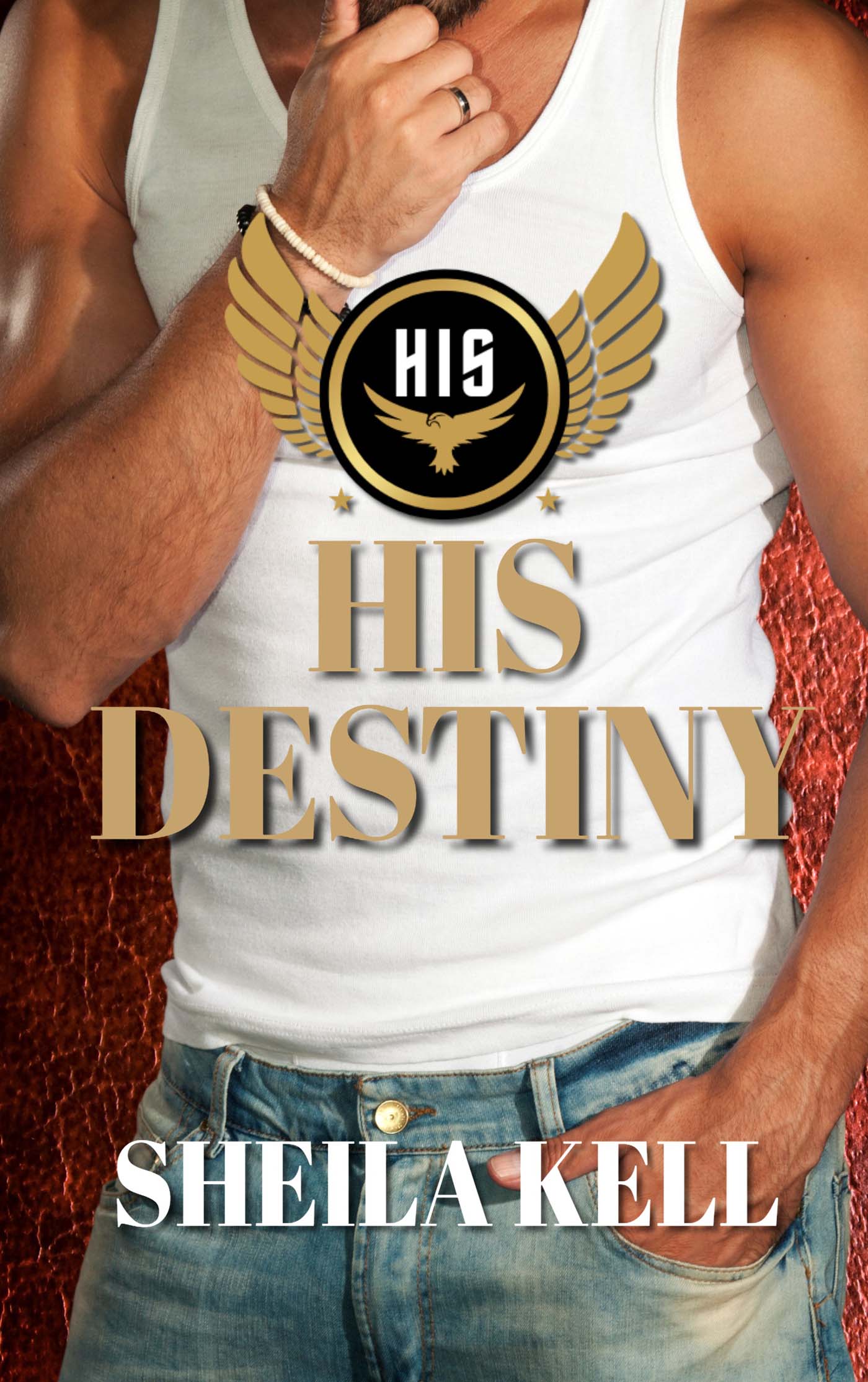 His Destiny (HIS Series)