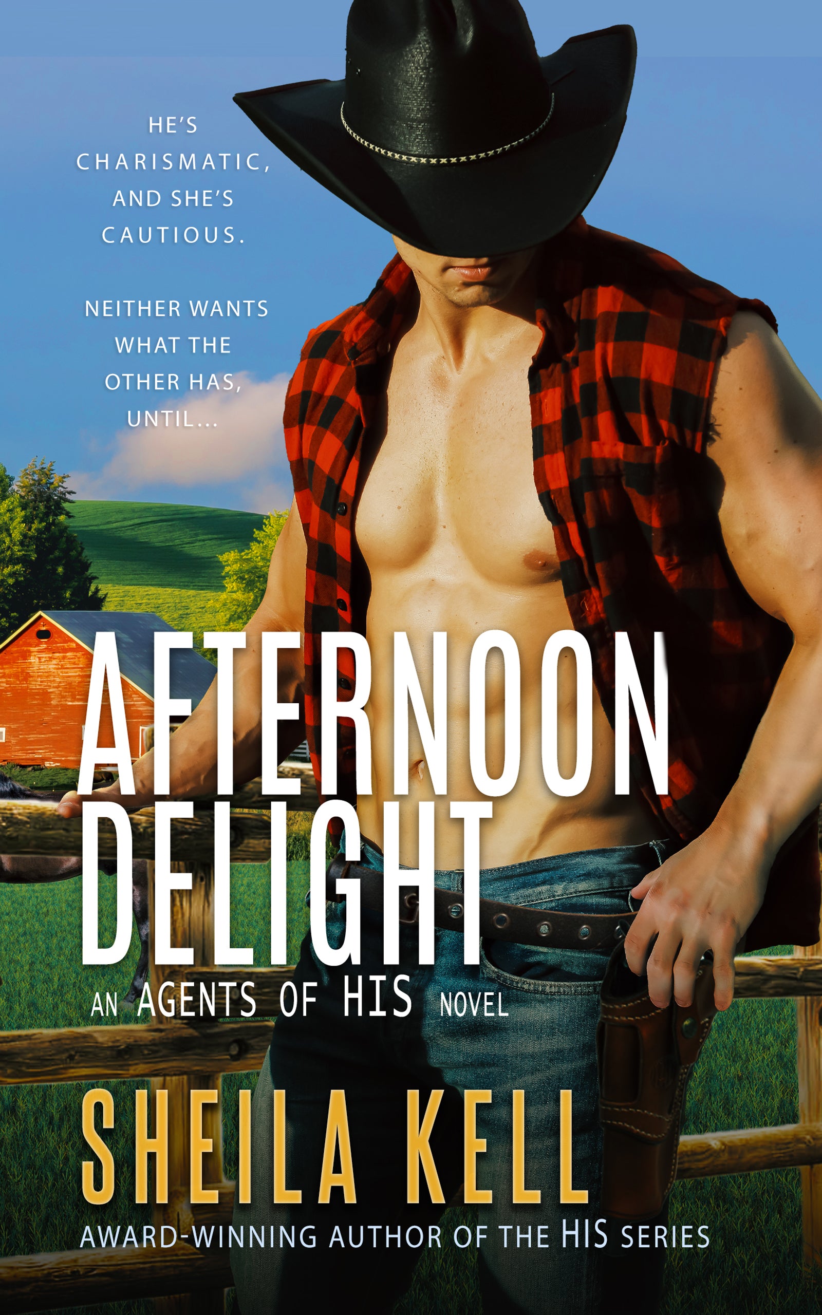 Afternoon Delight (Agents of HIS Series)